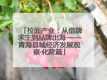 拉面产业：从借牌求生到品牌出海——青海县域经济发展观察·化隆篇