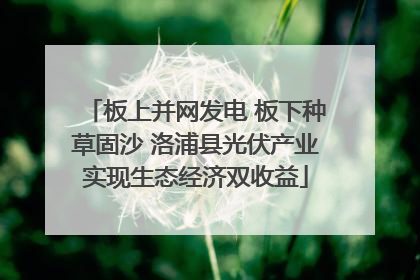 板上并网发电 板下种草固沙 洛浦县光伏产业实现生态经济双收益