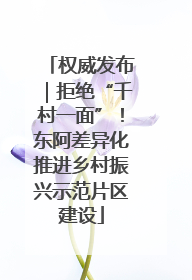 权威发布｜拒绝“千村一面”！东阿差异化推进乡村振兴示范片区建设