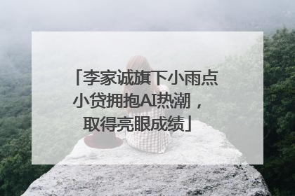 李家诚旗下小雨点小贷拥抱AI热潮，取得亮眼成绩