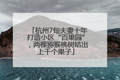 杭州7旬夫妻十年打造小区“百果园”，两棵猕猴桃树结出上千个果子
