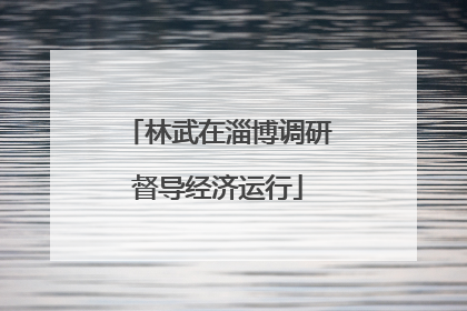 林武在淄博调研督导经济运行