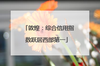 敦煌：综合信用指数跃居西部第一