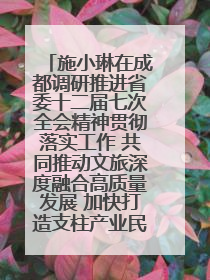 施小琳在成都调研推进省委十二届七次全会精神贯彻落实工作 共同推动文旅深度融合高质量发展 加快打造支柱产业民生产业幸福产业