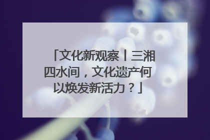 文化新观察丨三湘四水间，文化遗产何以焕发新活力？
