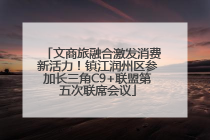 文商旅融合激发消费新活力！镇江润州区参加长三角C9+联盟第五次联席会议