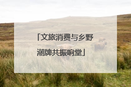 文旅消费与乡野潮牌共振响堂