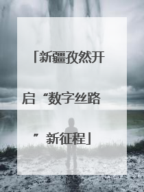 新疆孜然开启“数字丝路”新征程