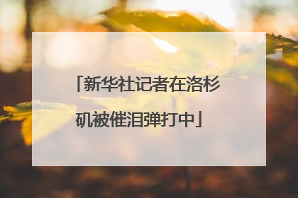 新华社记者在洛杉矶被催泪弹打中