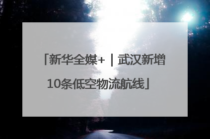 新华全媒+|武汉新增10条低空物流航线