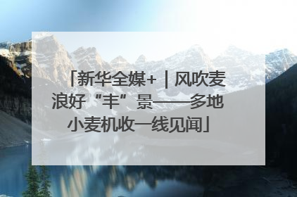 新华全媒+｜风吹麦浪好“丰”景——多地小麦机收一线见闻