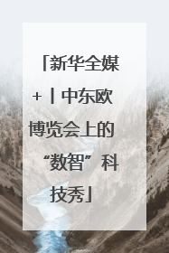 新华全媒+丨中东欧博览会上的“数智”科技秀