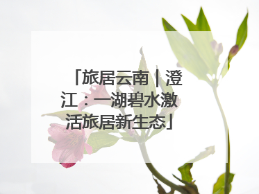 旅居云南｜澄江：一湖碧水激活旅居新生态