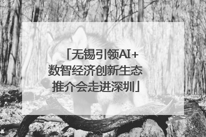 无锡引领AI+数智经济创新生态推介会走进深圳