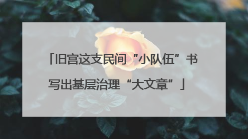 旧宫这支民间“小队伍”书写出基层治理“大文章”