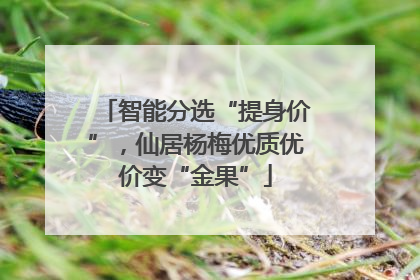 智能分选“提身价”，仙居杨梅优质优价变“金果”