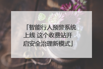 智能行人预警系统上线 这个收费站开启安全治理新模式
