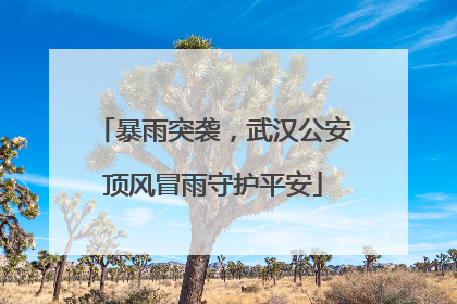 暴雨突袭，武汉公安顶风冒雨守护平安