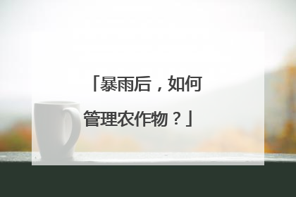 暴雨后，如何管理农作物？