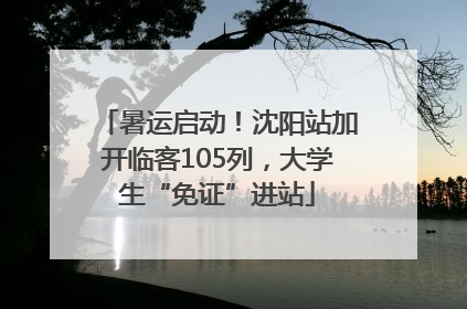 暑运启动！沈阳站加开临客105列，大学生“免证”进站