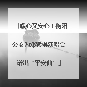 暖心又安心！衡阳公安为邓紫棋演唱会谱出“平安曲”
