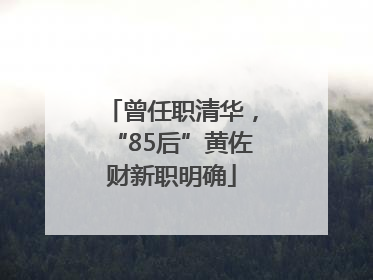 曾任职清华，“85后”黄佐财新职明确
