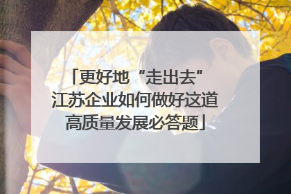 更好地“走出去” 江苏企业如何做好这道高质量发展必答题
