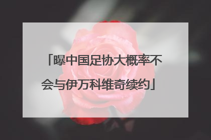 曝中国足协大概率不会与伊万科维奇续约