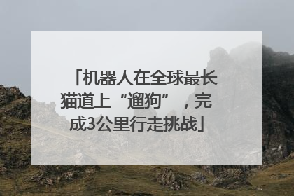 机器人在全球最长猫道上“遛狗”，完成3公里行走挑战