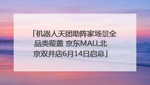 机器人天团助阵家场景全品类覆盖 京东MALL北京双井店6月14日启幕