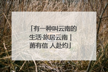有一种叫云南的生活·旅居云南｜菌有信 人赴约