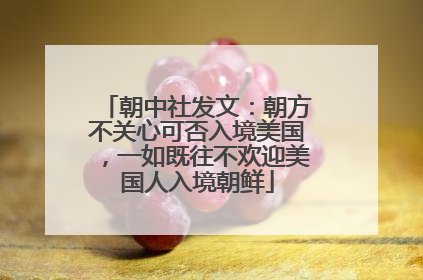 朝中社发文：朝方不关心可否入境美国，一如既往不欢迎美国人入境朝鲜