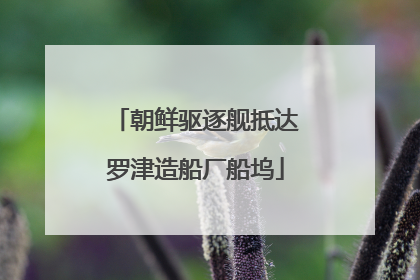 朝鲜驱逐舰抵达罗津造船厂船坞