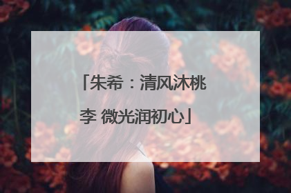 朱希：清风沐桃李 微光润初心
