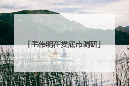 毛伟明在娄底市调研