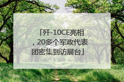 歼-10CE亮相，20多个军政代表团密集到访展台