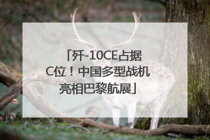 歼-10CE占据C位！中国多型战机亮相巴黎航展