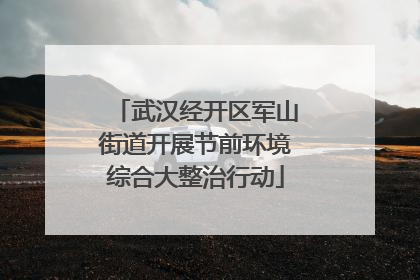 武汉经开区军山街道开展节前环境综合大整治行动