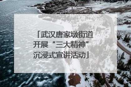 武汉唐家墩街道开展“三大精神”沉浸式宣讲活动