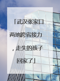武汉张家口两地跨省接力，走失的孩子回家了