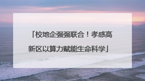校地企强强联合！孝感高新区以算力赋能生命科学