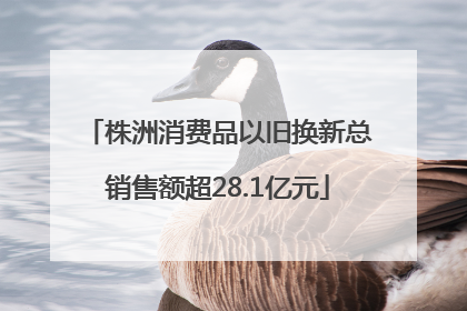 株洲消费品以旧换新总销售额超28.1亿元