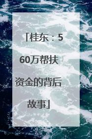 桂东：560万帮扶资金的背后故事