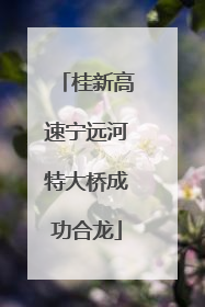 桂新高速宁远河特大桥成功合龙