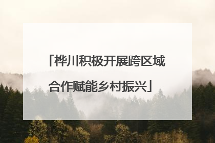 桦川积极开展跨区域合作赋能乡村振兴