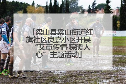 梁山县梁山街道红旗社区良嘉小区开展“艾草传情·粽暖人心”主题活动