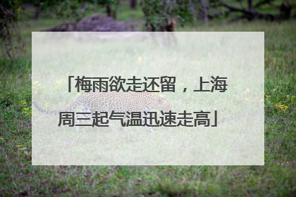 梅雨欲走还留，上海周三起气温迅速走高