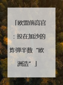 欧盟前高官：投在加沙的炸弹半数“欧洲造”