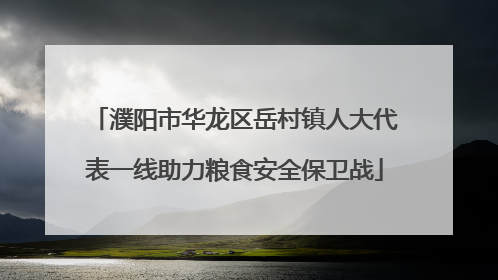 濮阳市华龙区岳村镇人大代表一线助力粮食安全保卫战