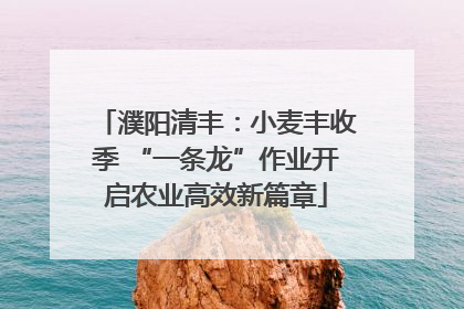 濮阳清丰：小麦丰收季 “一条龙”作业开启农业高效新篇章